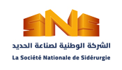 الشركة الوطنية لصناعة الحديد ( SNS )